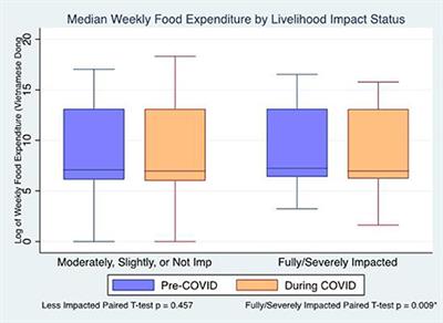 The Early Impacts of COVID-19 on Food Security and Livelihood in Vietnam